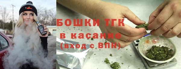 гашик Алексеевка