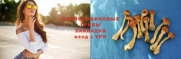 гашик Алексеевка