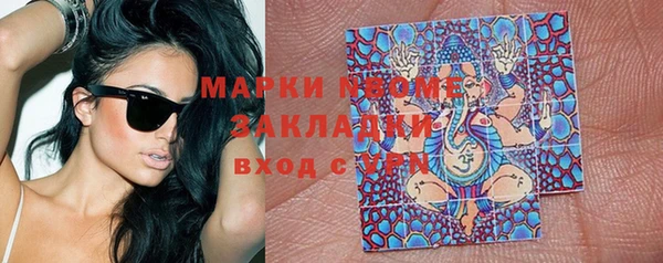 PSILOCYBIN Алзамай