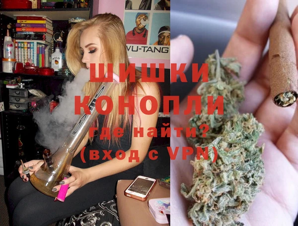 гашик Алексеевка