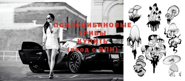 гашик Алексеевка