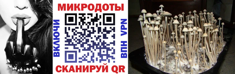 Псилоцибиновые грибы Psilocybine cubensis  даркнет сайт  блэк спрут   Конаково 
